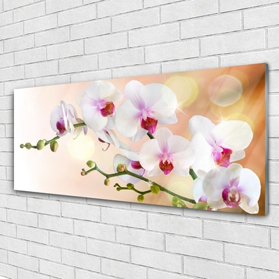 Tableaux sur verre Fleurs floral blanc rose