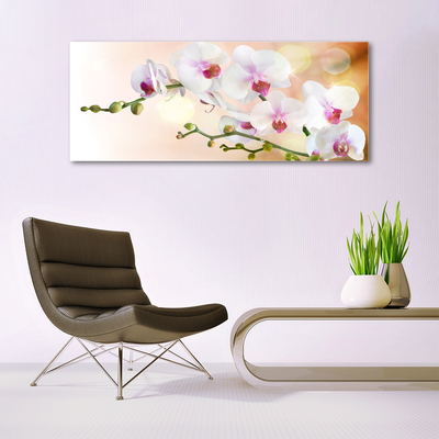 Tableaux sur verre Fleurs floral blanc rose