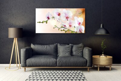 Tableaux sur verre Fleurs floral blanc rose