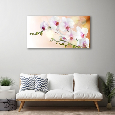 Tableaux sur verre Fleurs floral blanc rose