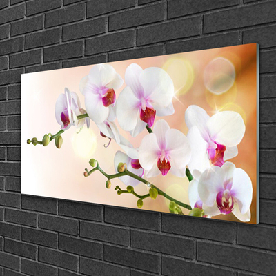 Tableaux sur verre Fleurs floral blanc rose