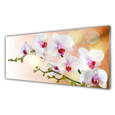 Tableaux sur verre Fleurs floral blanc rose