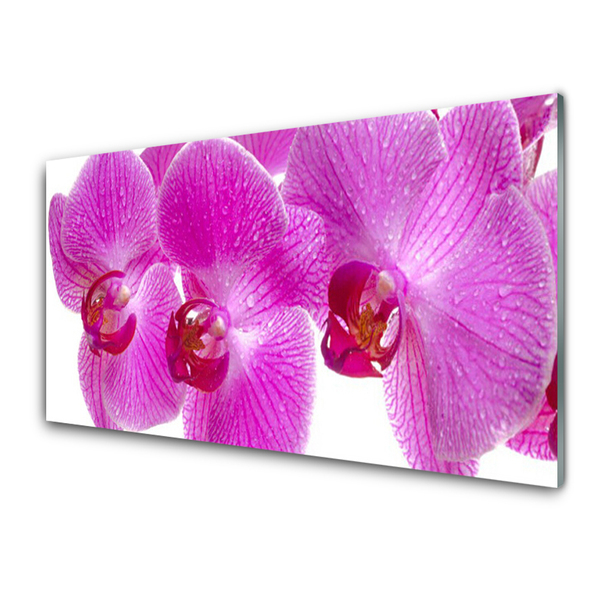 Tableaux sur verre Fleurs floral rose