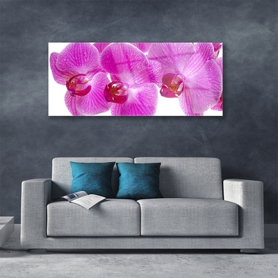 Tableaux sur verre Fleurs floral rose