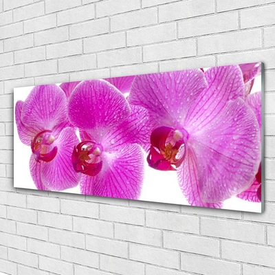 Tableaux sur verre Fleurs floral rose