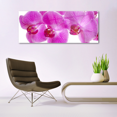 Tableaux sur verre Fleurs floral rose