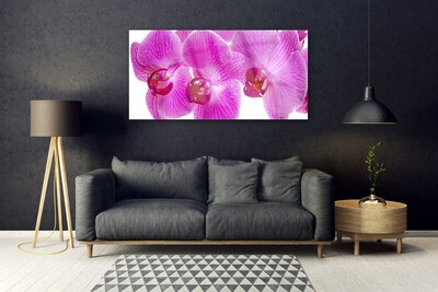 Tableaux sur verre Fleurs floral rose