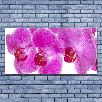 Tableaux sur verre Fleurs floral rose