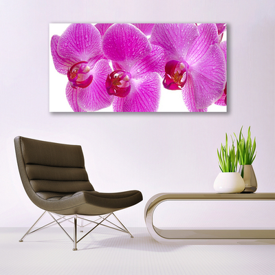 Tableaux sur verre Fleurs floral rose