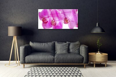 Tableaux sur verre Fleurs floral rose