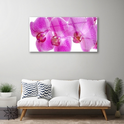 Tableaux sur verre Fleurs floral rose