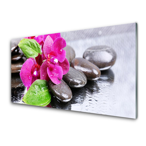 Tableaux sur verre Pierres fleurs floral rouge noir