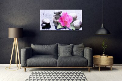 Tableaux sur verre Pierres fleurs art rouge noir