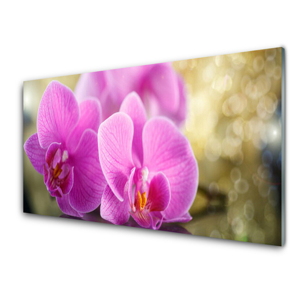 Tableaux sur verre Fleurs floral rose