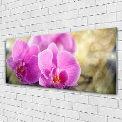 Tableaux sur verre Fleurs floral rose