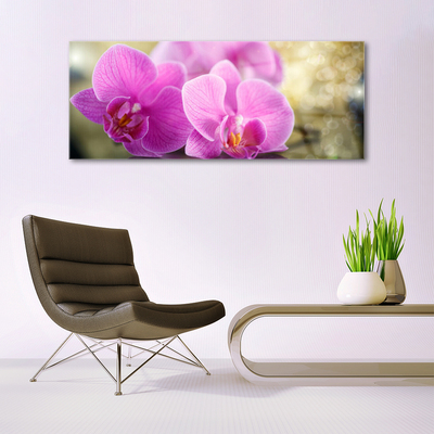 Tableaux sur verre Fleurs floral rose