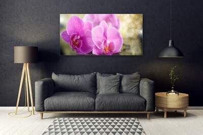 Tableaux sur verre Fleurs floral rose