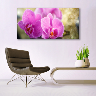 Tableaux sur verre Fleurs floral rose