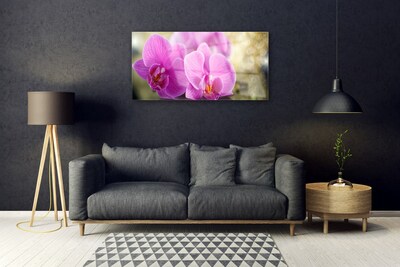 Tableaux sur verre Fleurs floral rose