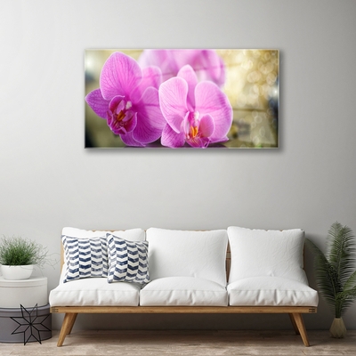 Tableaux sur verre Fleurs floral rose