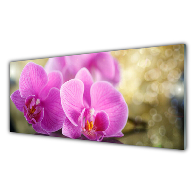 Tableaux sur verre Fleurs floral rose