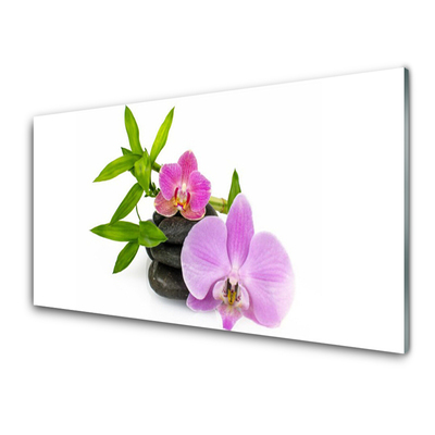 Tableaux sur verre Pierres fleurs floral rose noir