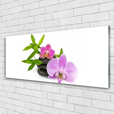 Tableaux sur verre Pierres fleurs floral rose noir