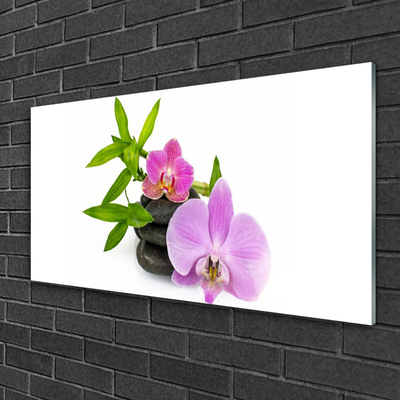 Tableaux sur verre Pierres fleurs floral rose noir