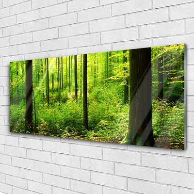 Tableaux sur verre Forêt nature brun vert