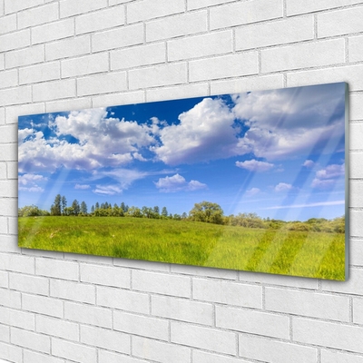 Tableaux sur verre Prairie herbe paysage vert