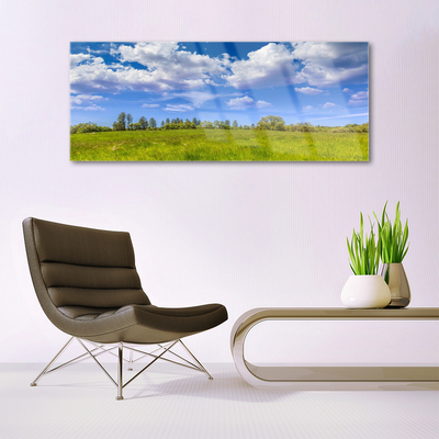 Tableaux sur verre Prairie herbe paysage vert