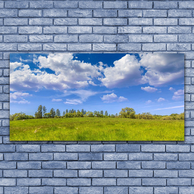 Tableaux sur verre Prairie herbe paysage vert