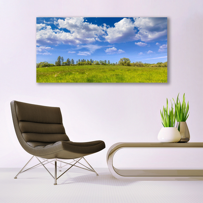 Tableaux sur verre Prairie herbe paysage vert