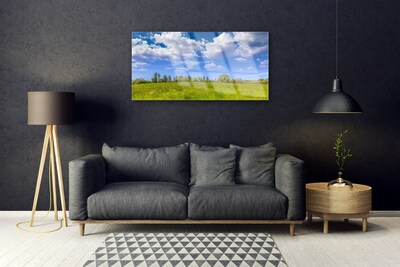 Tableaux sur verre Prairie herbe paysage vert