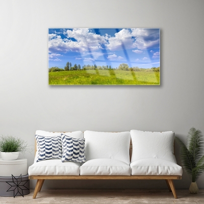 Tableaux sur verre Prairie herbe paysage vert