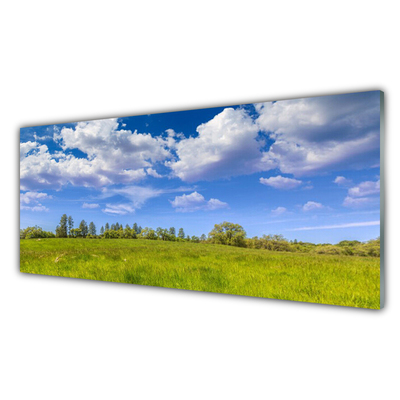Tableaux sur verre Prairie herbe paysage vert