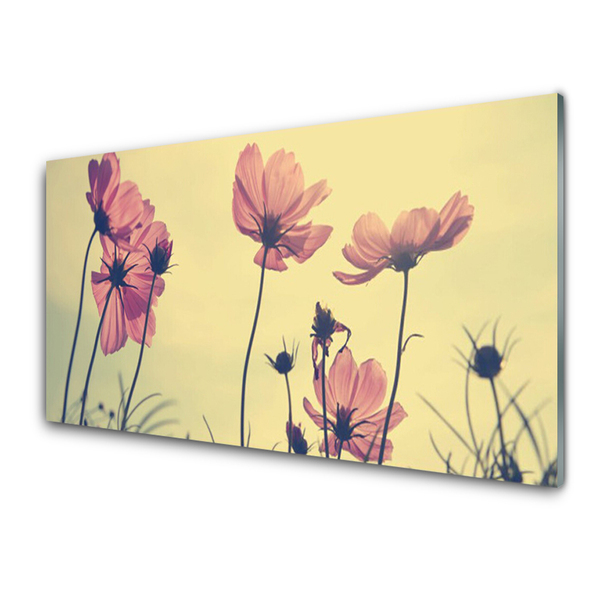 Tableaux sur verre Fleurs floral rose