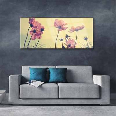 Tableaux sur verre Fleurs floral rose