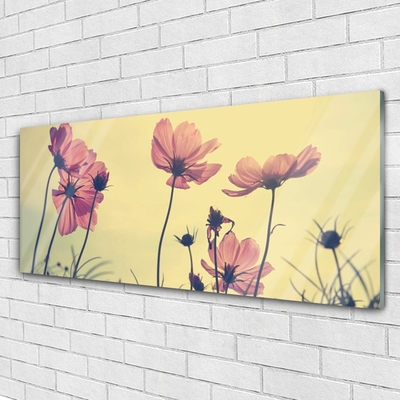 Tableaux sur verre Fleurs floral rose