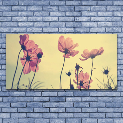 Tableaux sur verre Fleurs floral rose