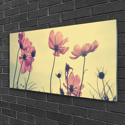 Tableaux sur verre Fleurs floral rose