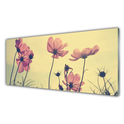 Tableaux sur verre Fleurs floral rose