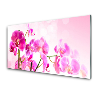 Tableaux sur verre Fleurs floral rose