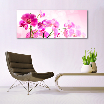 Tableaux sur verre Fleurs floral rose