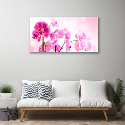 Tableaux sur verre Fleurs floral rose