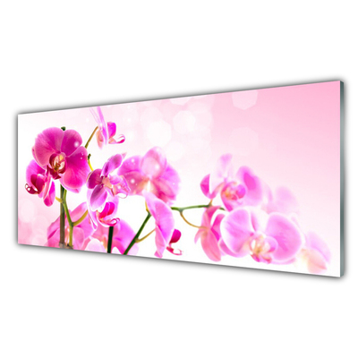 Tableaux sur verre Fleurs floral rose