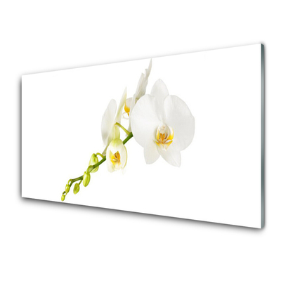 Tableaux sur verre Fleurs floral blanc