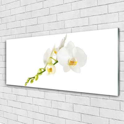 Tableaux sur verre Fleurs floral blanc