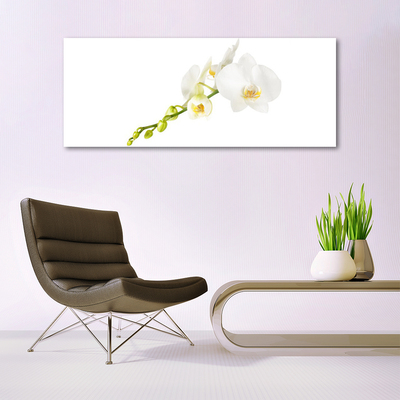 Tableaux sur verre Fleurs floral blanc