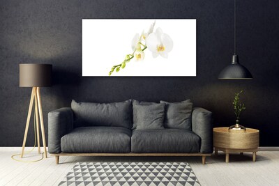 Tableaux sur verre Fleurs floral blanc